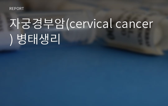 자궁경부암(cervical cancer) 병태생리