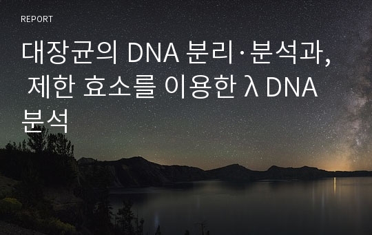 대장균의 DNA 분리·분석과, 제한 효소를 이용한 λ DNA 분석