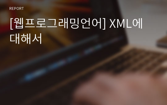 [웹프로그래밍언어] XML에 대해서