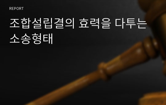 조합설립결의 효력을 다투는 소송형태