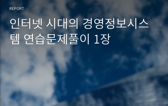 인터넷 시대의 경영정보시스템 연습문제풀이 1장