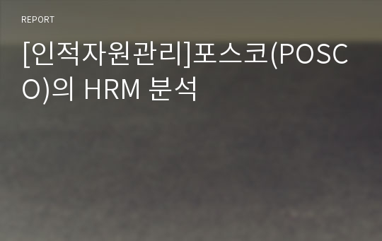 [인적자원관리]포스코(POSCO)의 HRM 분석