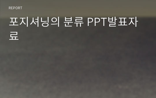 포지셔닝의 분류 PPT발표자료