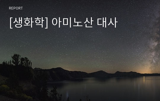 [생화학] 아미노산 대사