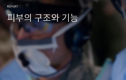 피부의 구조와 기능