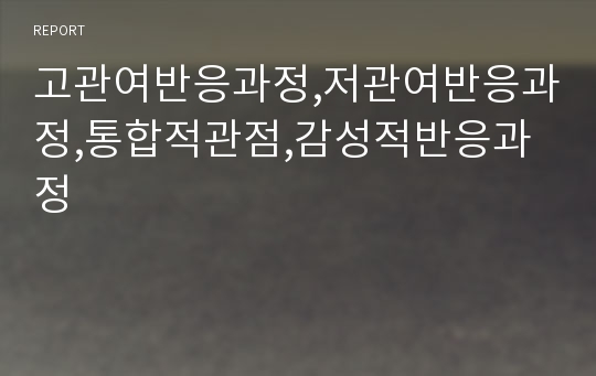 고관여반응과정,저관여반응과정,통합적관점,감성적반응과정