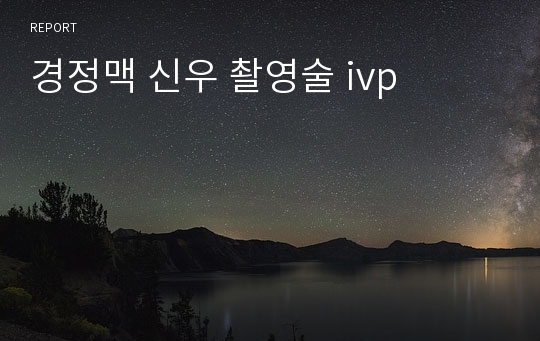 경정맥 신우 촬영술 ivp