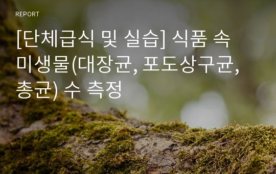 [단체급식 및 실습] 식품 속 미생물(대장균, 포도상구균,총균) 수 측정