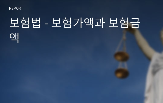 보험법 - 보험가액과 보험금액