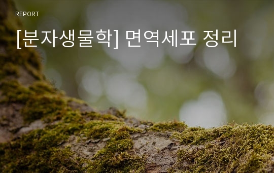 [분자생물학] 면역세포 정리