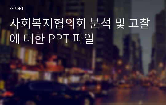 사회복지협의회 분석 및 고찰에 대한 PPT 파일