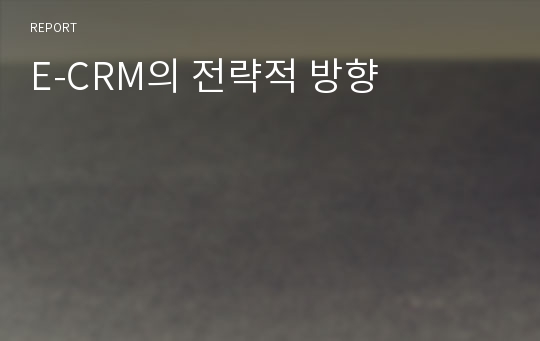 E-CRM의 전략적 방향