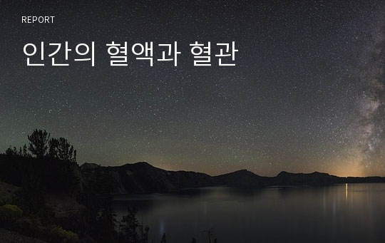 인간의 혈액과 혈관