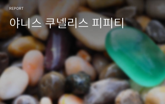 야니스 쿠넬리스 피피티