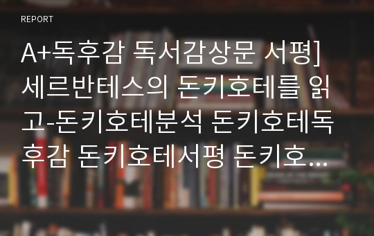 A+독후감 독서감상문 서평]세르반테스의 돈키호테를 읽고-돈키호테분석 돈키호테독후감 돈키호테서평 돈키호테독서감상문