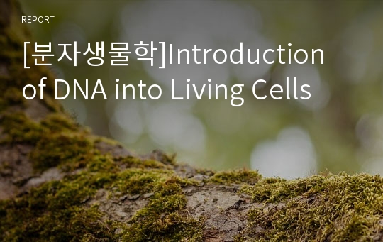 [분자생물학]Introduction of DNA into Living Cells