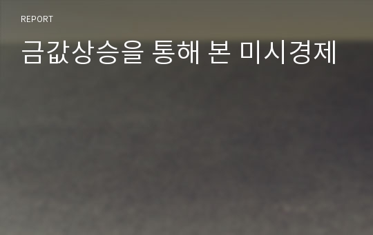 금값상승을 통해 본 미시경제