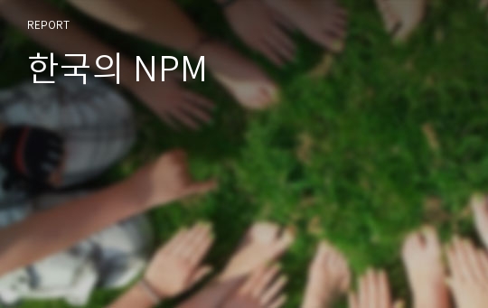 한국의 NPM