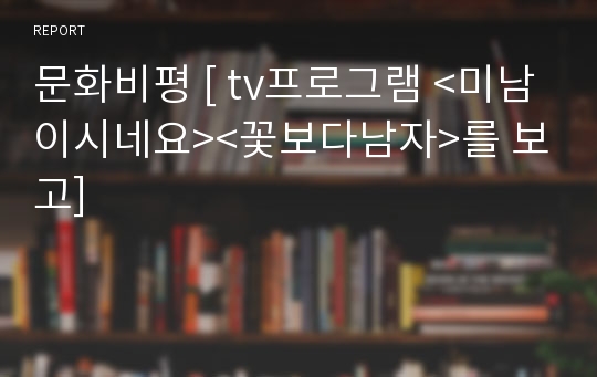 문화비평 [ tv프로그램 &lt;미남이시네요&gt;&lt;꽃보다남자&gt;를 보고]