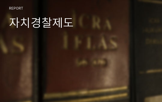 자치경찰제도