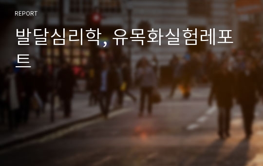 발달심리학, 유목화실험레포트