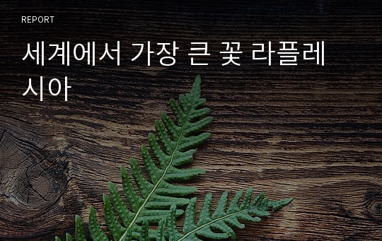 세계에서 가장 큰 꽃 라플레시아