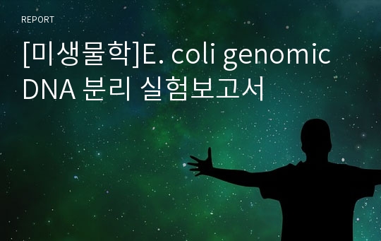 [미생물학]E. coli genomic DNA 분리 실험보고서