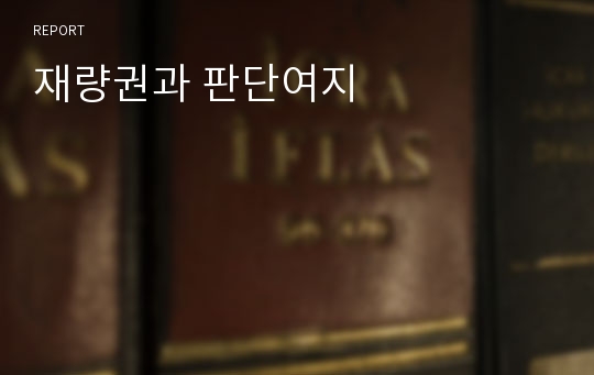 재량권과 판단여지