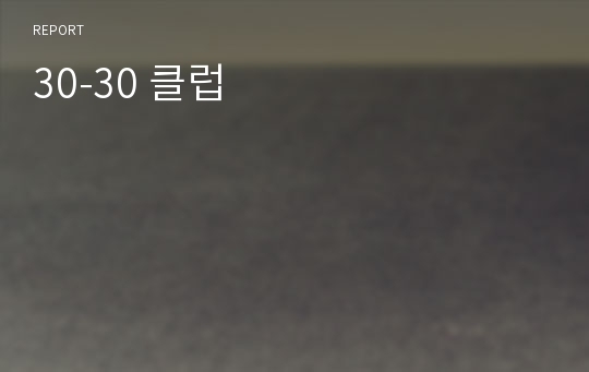 30-30 클럽