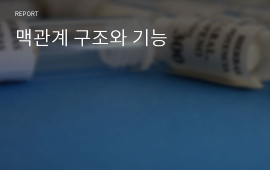 맥관계 구조와 기능