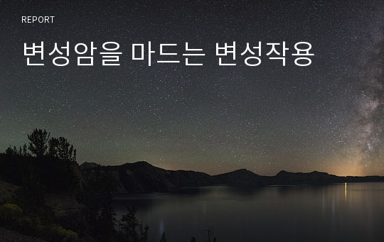 변성암을 마드는 변성작용