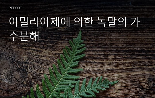 아밀라아제에 의한 녹말의 가수분해