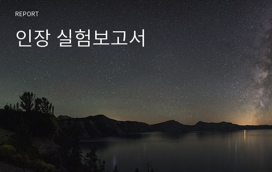 인장 실험보고서