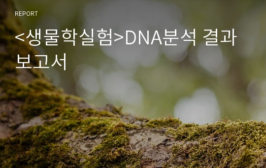 &lt;생물학실험&gt;DNA분석 결과보고서