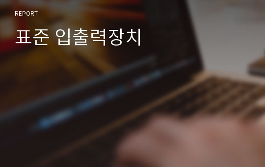 표준 입출력장치