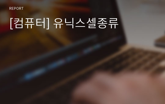 [컴퓨터] 유닉스셀종류