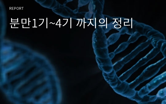 분만1기~4기 까지의 정리