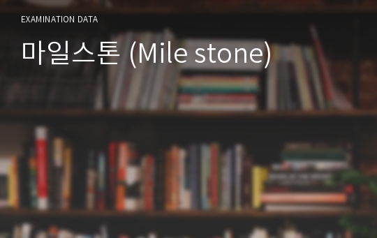 마일스톤 (Mile stone)