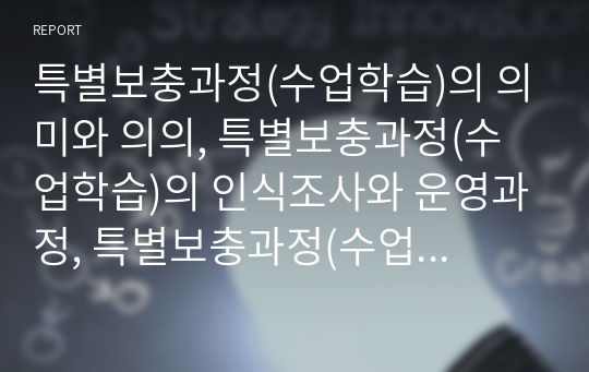 특별보충과정(수업학습)의 의미와 의의, 특별보충과정(수업학습)의 인식조사와 운영과정, 특별보충과정(수업학습)의 운영사례와 교수학습자료, 특별보충과정(수업학습)의 개선방향, 특별보충과정(수업학습)의 시사점