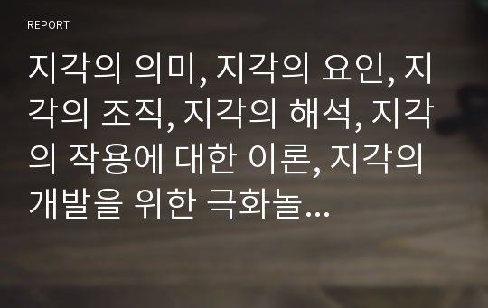 지각의 의미, 지각의 요인, 지각의 조직, 지각의 해석, 지각의 작용에 대한 이론, 지각의 개발을 위한 극화놀이 심층 분석(지각, 지각의 요인, 지각의 조직, 지각의 해석, 지각의 개발, 극화놀이, 극화, 놀이)