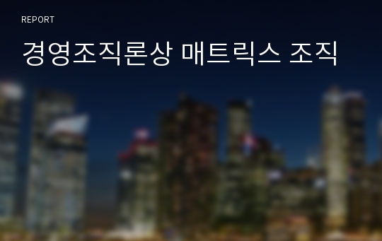 경영조직론상 매트릭스 조직