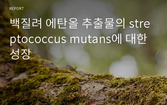 백질려 에탄올 추출물의 streptococcus mutans에 대한 성장