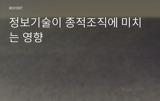 정보기술이 종적조직에 미치는 영향