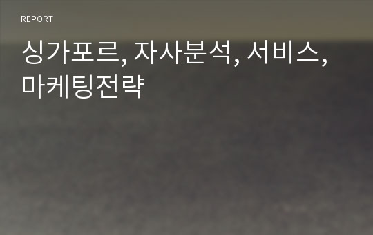 싱가포르, 자사분석, 서비스, 마케팅전략