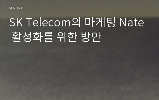 SK Telecom의 마케팅 Nate 활성화를 위한 방안