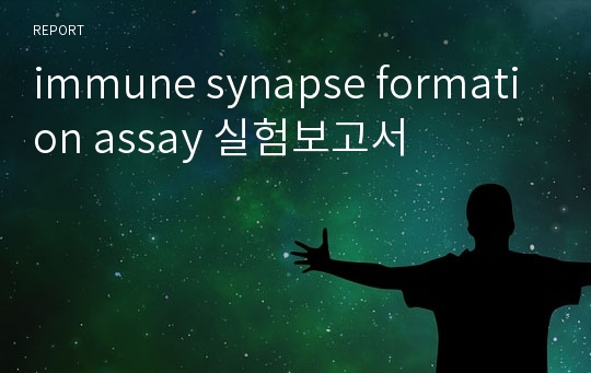 immune synapse formation assay 실험보고서