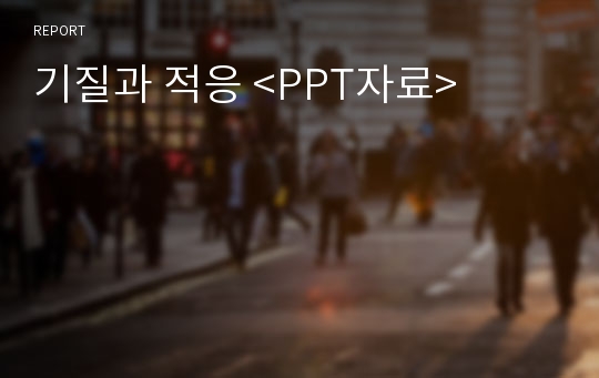 기질과 적응 &lt;PPT자료&gt;