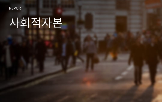 사회적자본