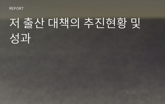 저 출산 대책의 추진현황 및 성과