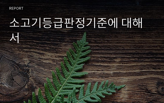 소고기등급판정기준에 대해서